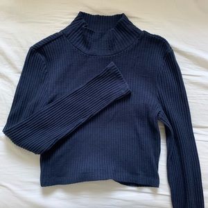 AA Thick Rib Long Sleeve Crop Turtleneck